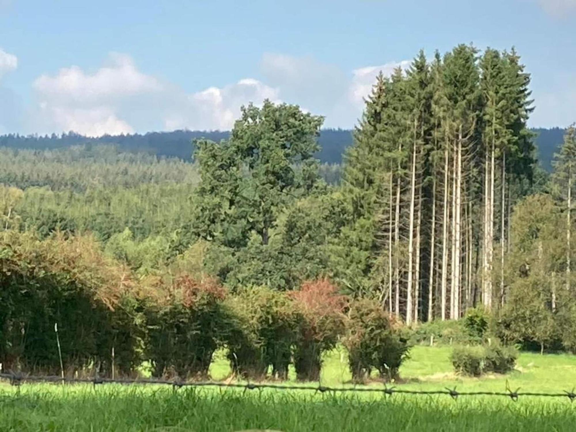 Quaint Cottage In Mont Near High Fens Nature Park Malmedy Exteriör bild